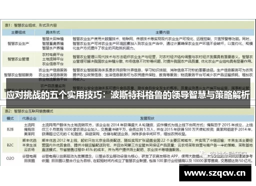 应对挑战的五个实用技巧：波斯特科格鲁的领导智慧与策略解析